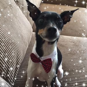 Meet your Posher, Tammy